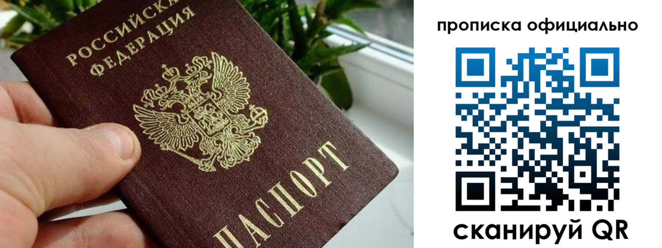 прописка поиск в Баймаке